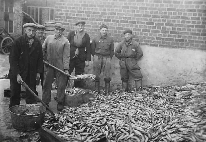Enorme haringvangst van 1943 bij een vishandelaar in Poperinge