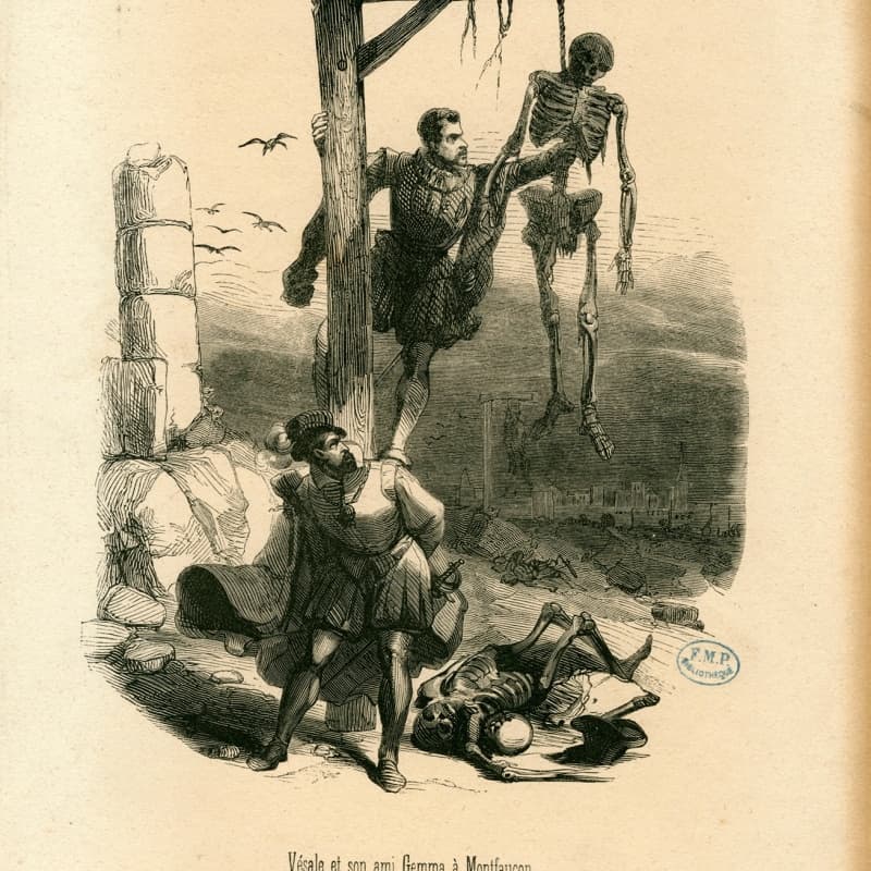Vesalius en zijn vriend Gemma halen een lijk van de galg in Montfaucon